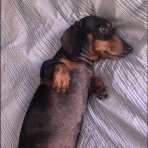 Meet your Posher, Addy💛